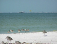 Florida_3_003