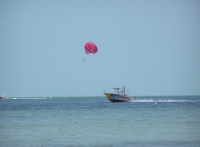 Florida_3_007