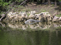 Florida_3_193