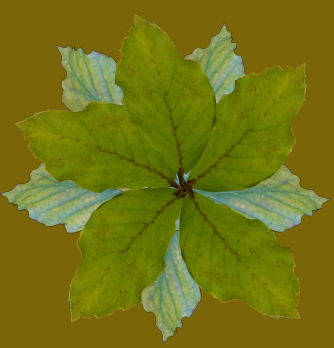 photoshop03