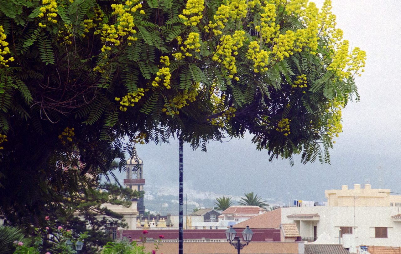 orotawa_001