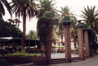 puerto_de_la_cruz1_24