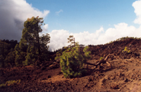 teide_20