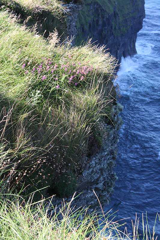 Irland_2372