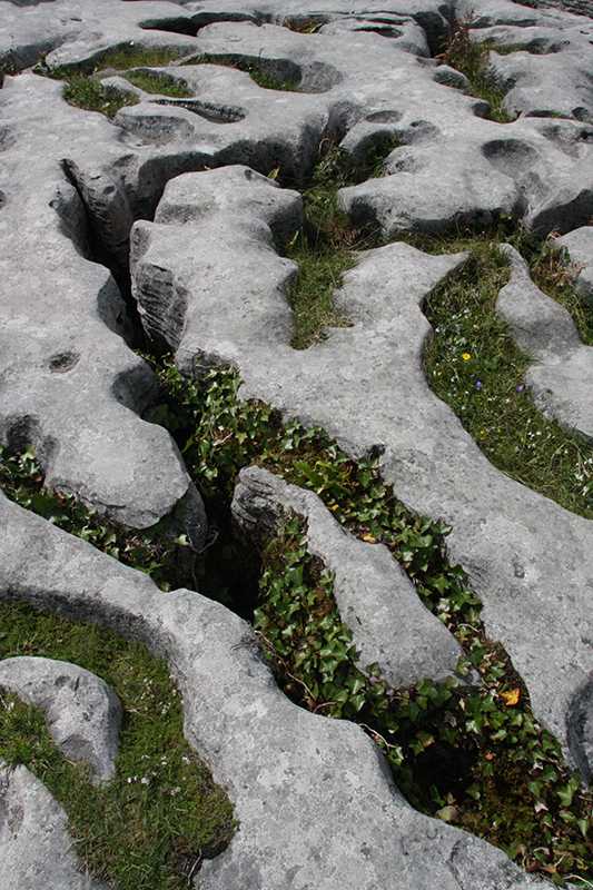 Irland_2495